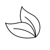 Natural leaves icon